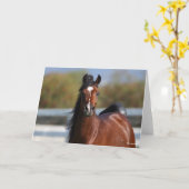 Bob Langrish | Koptekst Arabische baai Kaart (Gele Bloem)