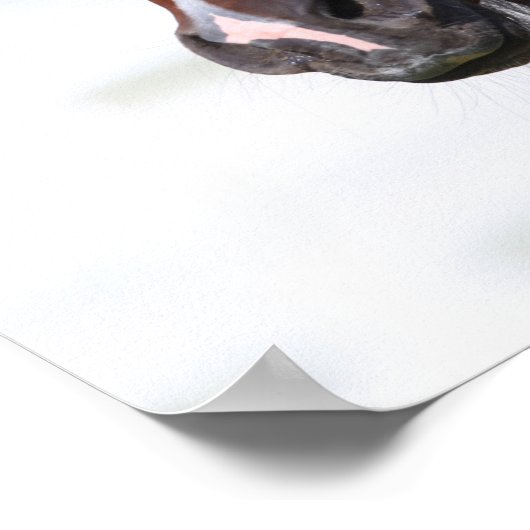 Bob Langrish | Koptekst Arabische baai Poster (Hoek)