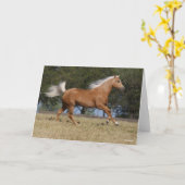 Bob Langrish | Kwartpaarden van Palomino Kaart (Gele Bloem)