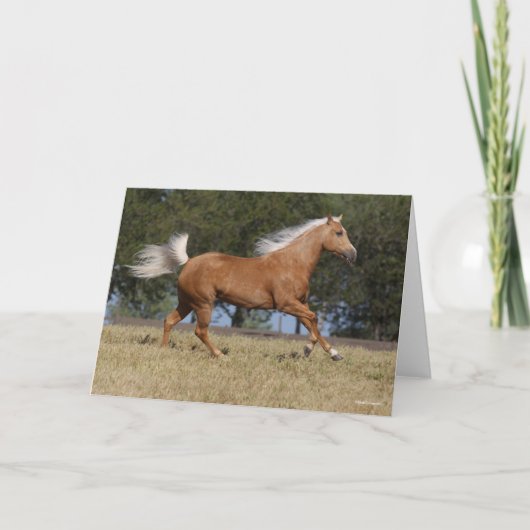 Bob Langrish | Kwartpaarden van Palomino Kaart (Voorkant)