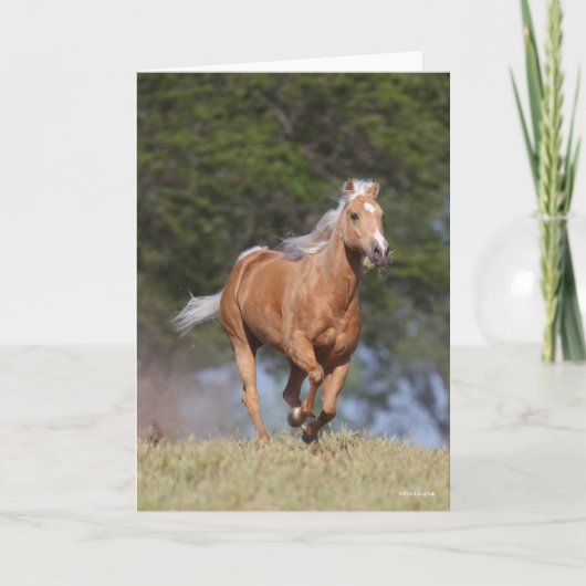 Bob Langrish | Kwartpaarden van Palomino Kaart (Voorkant)