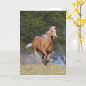 Bob Langrish | Kwartpaarden van Palomino Kaart (Gele Bloem)