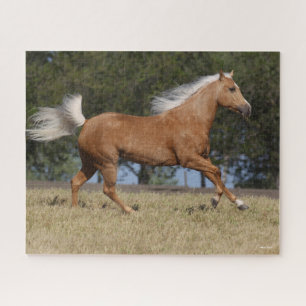 Bob Langrish Kwartpaarden van Palomino Legpuzzel
