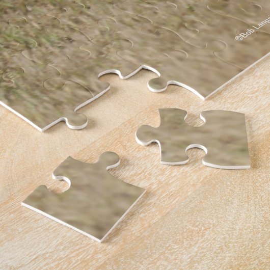 Bob Langrish | Kwartpaarden van Palomino Legpuzzel (Zijkant)