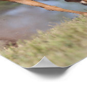 Bob Langrish | Kwartpaarden van Palomino Poster (Hoek)