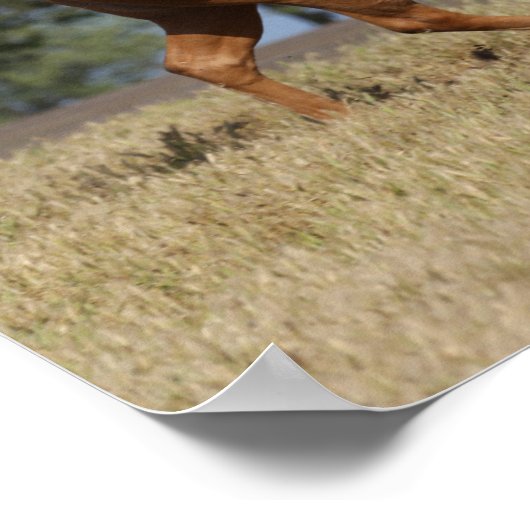 Bob Langrish | Kwartpaarden van Palomino Poster (Hoek)