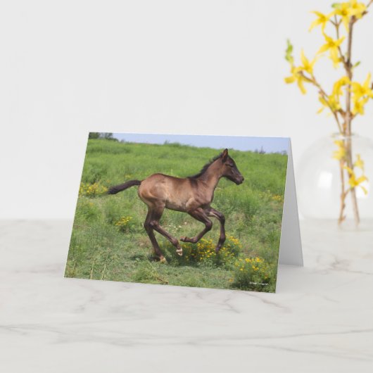 Bob Langrish | Kwartschoorsteenkool in bedrijf Kaart (Gele Bloem)