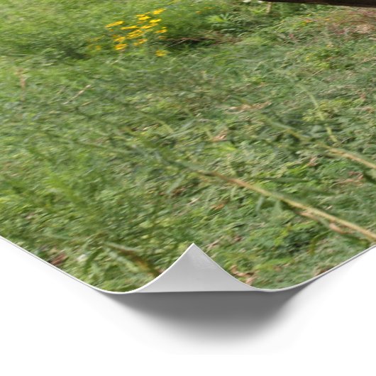 Bob Langrish | Kwartschoorsteenkool in bedrijf Poster (Hoek)