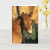 Bob Langrish | Kwartschotkop voor paardenfokkonijn Kaart (Gele Bloem)