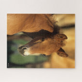 Bob Langrish | Kwartschotkop voor paardenfokkonijn Legpuzzel (Horizontaal)