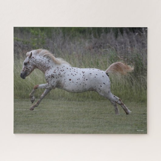 Bob Langrish | Leaping van de Pony van Amerika Legpuzzel (Horizontaal)