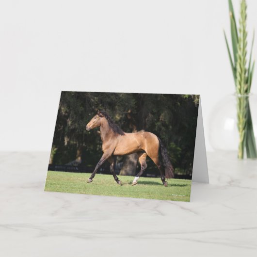 Bob Langrish | Lichte baai Lusitano Kaart (Voorkant)