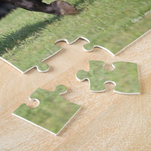 Bob Langrish | Lichte baai Lusitano Legpuzzel (Zijkant)