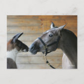 Bob Langrish Llama en Andalucian Meeting Headshot Briefkaart (Voorkant)