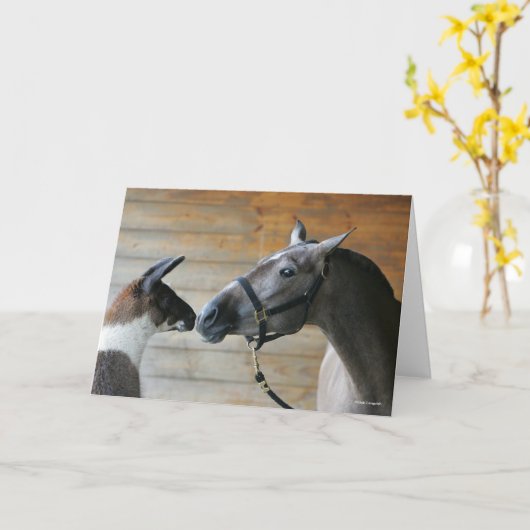 Bob Langrish Llama en Andalucian Meeting Headshot Kaart (Gele Bloem)