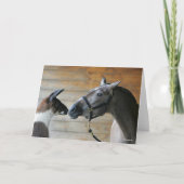 Bob Langrish Llama en Andalucian Meeting Headshot Kaart (Voorkant)