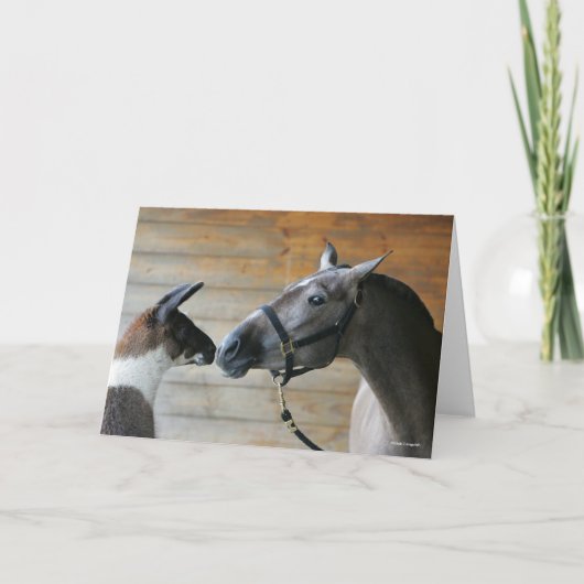 Bob Langrish Llama en Andalucian Meeting Headshot Kaart (Voorkant)