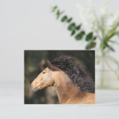 Bob Langrish | Lusitano Headshot Mane stromend Briefkaart (Staand voorkant)