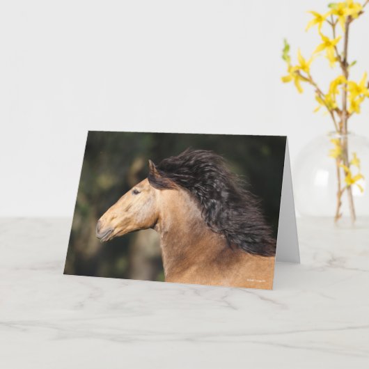 Bob Langrish | Lusitano Headshot Mane stromend Kaart (Gele Bloem)