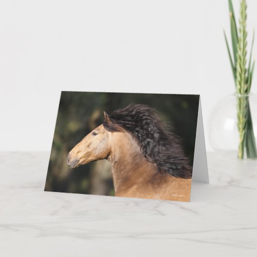 Bob Langrish | Lusitano Headshot Mane stromend Kaart (Voorkant)