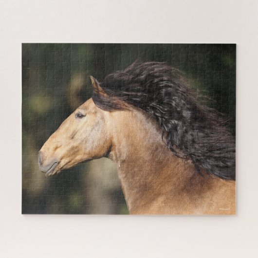 Bob Langrish | Lusitano Headshot Mane stromend Legpuzzel (Horizontaal)