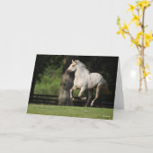 Bob Langrish | Lusitano-paarden Kaart (Gele Bloem)