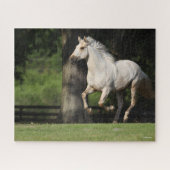 Bob Langrish | Lusitano-paarden Legpuzzel (Horizontaal)