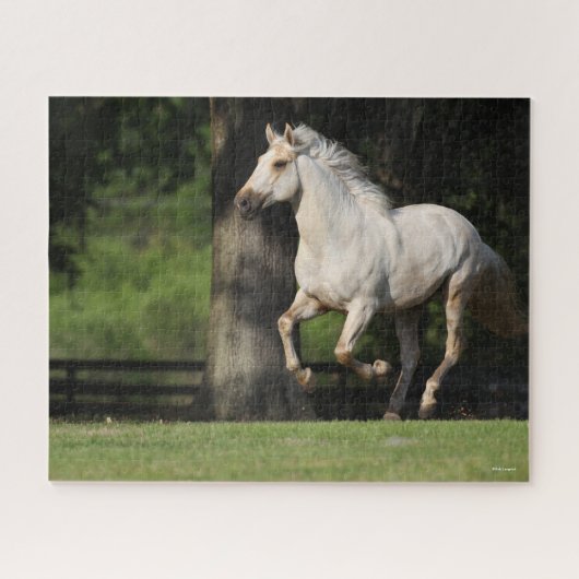 Bob Langrish | Lusitano-paarden Legpuzzel (Horizontaal)