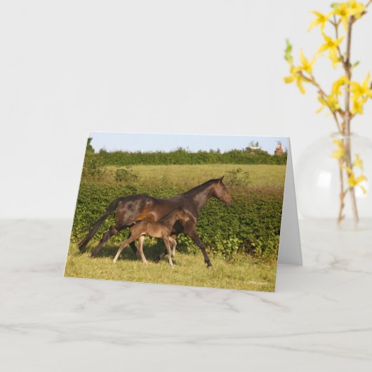 Bob Langrish | Maas voor bewapend bloed en vederwi Kaart (Gele Bloem)