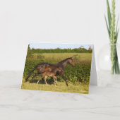 Bob Langrish | Maas voor bewapend bloed en vederwi Kaart (Voorkant)