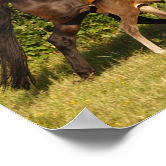 Bob Langrish | Maas voor bewapend bloed en vederwi Poster (Hoek)