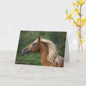 Bob Langrish | Mane Flows | Arab Stallion headshot Kaart (Gele Bloem)