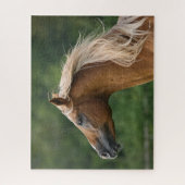 Bob Langrish | Mane Flows | Arab Stallion headshot Legpuzzel (Verticaal)