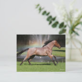 Bob Langrish | Mangalarga Horse Running Rainbow Briefkaart (Staand voorkant)