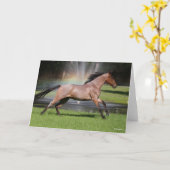 Bob Langrish | Mangalarga Horse Running Rainbow Kaart (Gele Bloem)