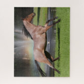 Bob Langrish | Mangalarga Horse Running Rainbow Legpuzzel (Verticaal)