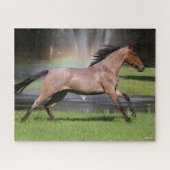 Bob Langrish | Mangalarga Horse Running Rainbow Legpuzzel (Horizontaal)
