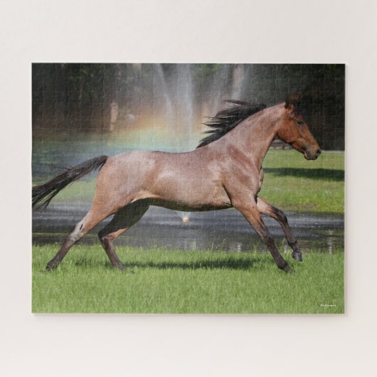 Bob Langrish | Mangalarga Horse Running Rainbow Legpuzzel (Horizontaal)
