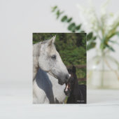 Bob Langrish | Mare en schuimbloem Briefkaart (Staand voorkant)