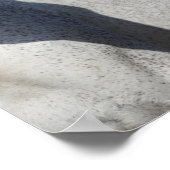 Bob Langrish | Mare en schuimbloem Poster (Hoek)