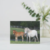 Bob Langrish Miniature Pony Mare and Foal Standing Briefkaart (Staand voorkant)