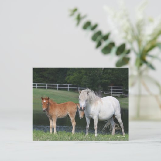 Bob Langrish Miniature Pony Mare and Foal Standing Briefkaart (Staand voorkant)