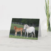 Bob Langrish Miniature Pony Mare and Foal Standing Kaart (Voorkant)