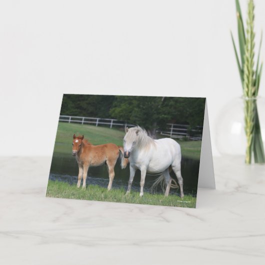 Bob Langrish Miniature Pony Mare and Foal Standing Kaart (Voorkant)