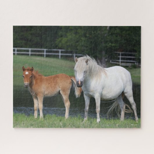 Bob Langrish Miniature Pony Mare and Foal Standing Legpuzzel (Horizontaal)
