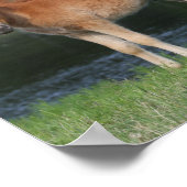 Bob Langrish Miniature Pony Mare and Foal Standing Poster (Hoek)