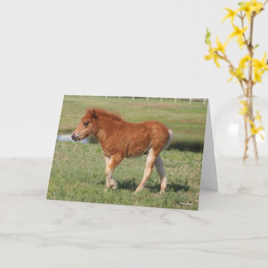 Bob Langrish | Miniatuur Foal Walking Kaart (Gele Bloem)