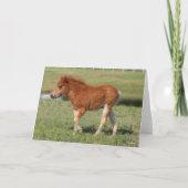 Bob Langrish | Miniatuur Foal Walking Kaart (Voorkant)