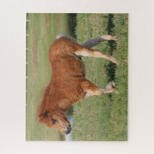 Bob Langrish | Miniatuur Foal Walking Legpuzzel (Verticaal)