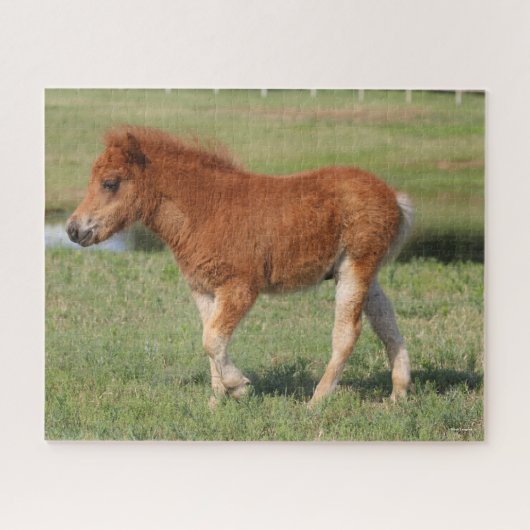 Bob Langrish | Miniatuur Foal Walking Legpuzzel (Horizontaal)